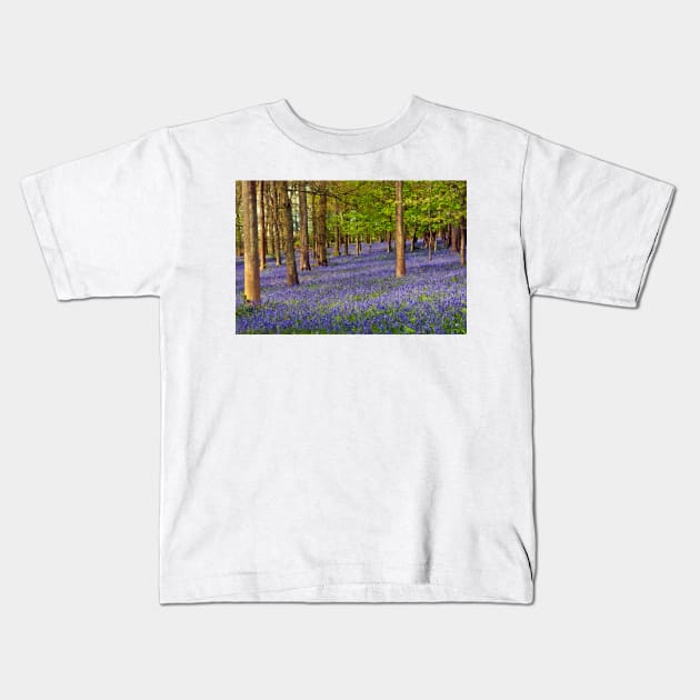 Bluebell Woods Greys Court Oxfordshire UK Kids T-Shirt by AndyEvansPhotos
